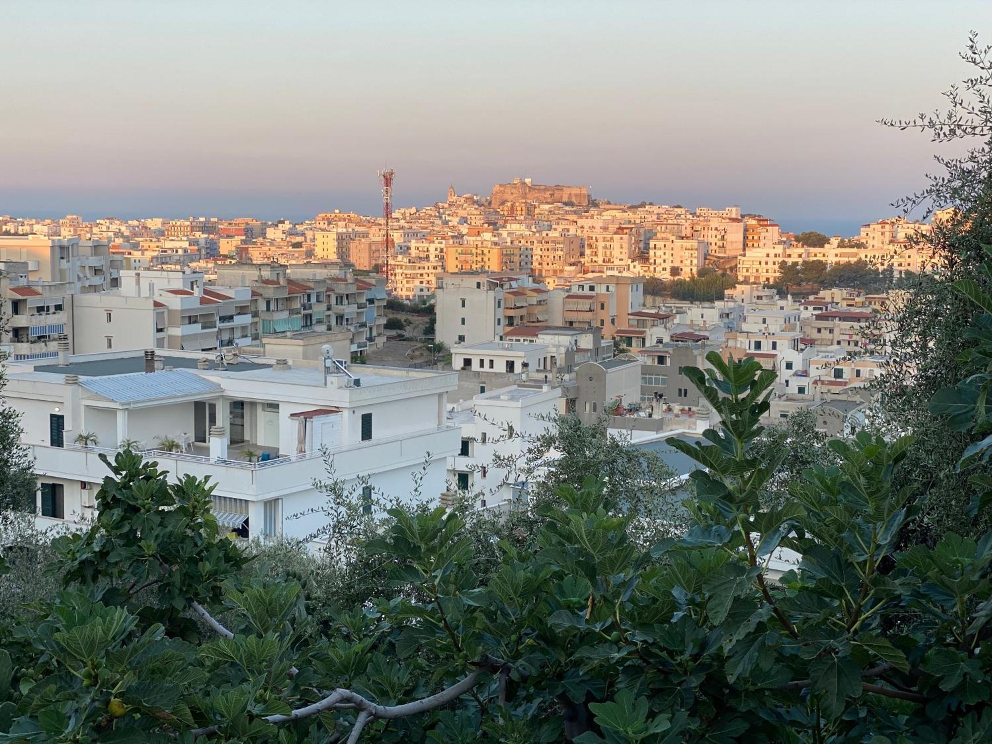 Coliving Together Gargano Vieste Eksteriør bilde