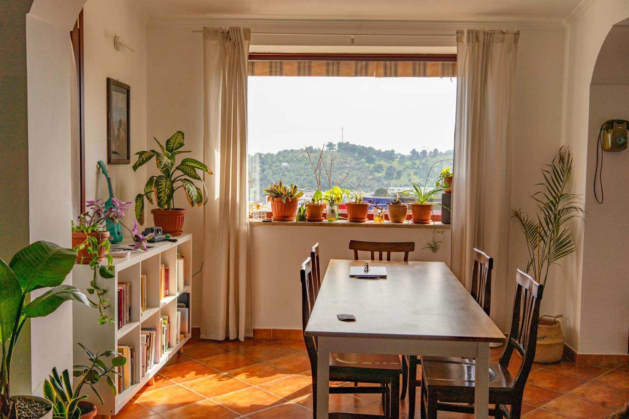 Coliving Together Gargano Vieste Eksteriør bilde