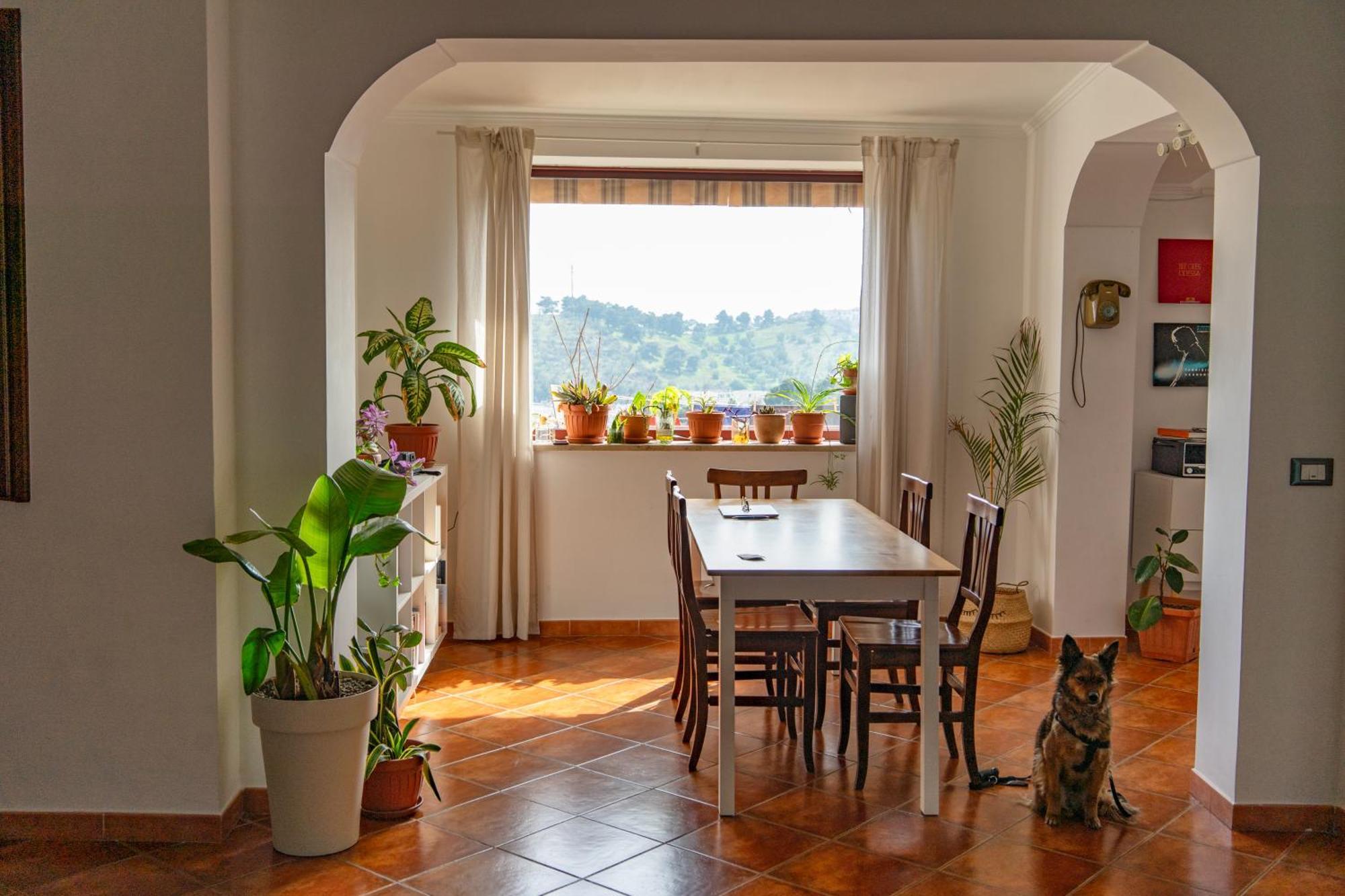 Coliving Together Gargano Vieste Eksteriør bilde