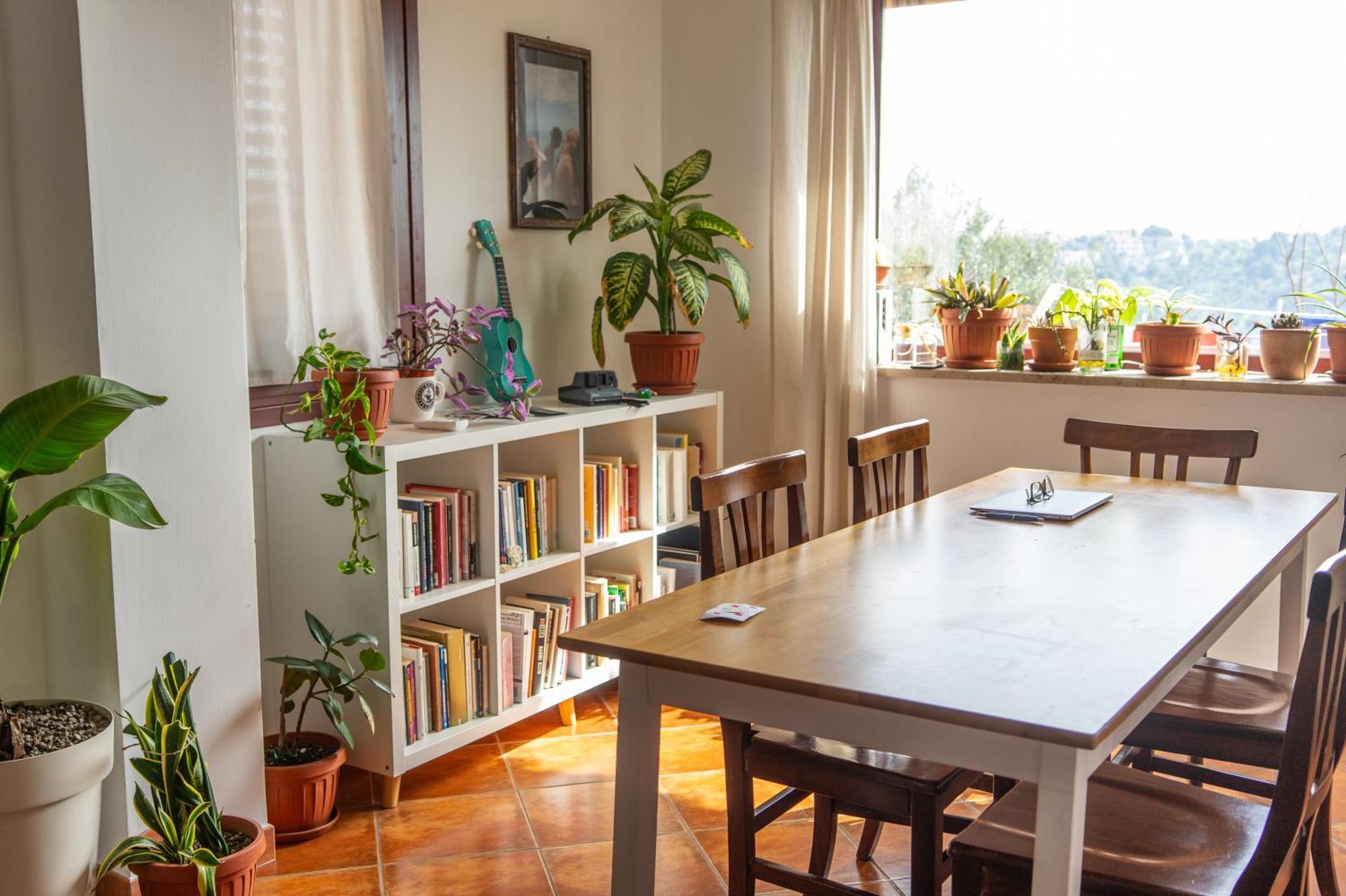 Coliving Together Gargano Vieste Eksteriør bilde